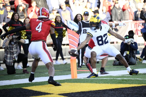 Michigan jordans 219 outlet
